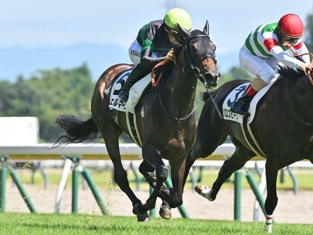 新潟5Rの新馬戦を制したエンジェルマーク(撮影：小金井邦祥)