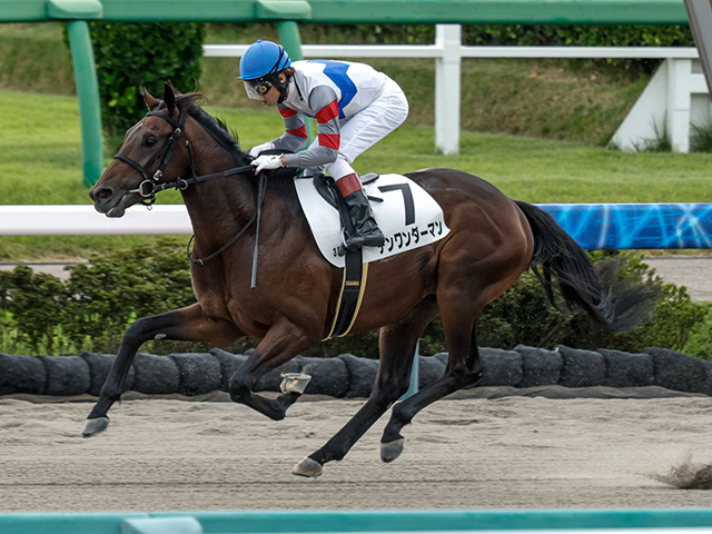 テンワンダーマンが勝利(撮影：下野雄規)