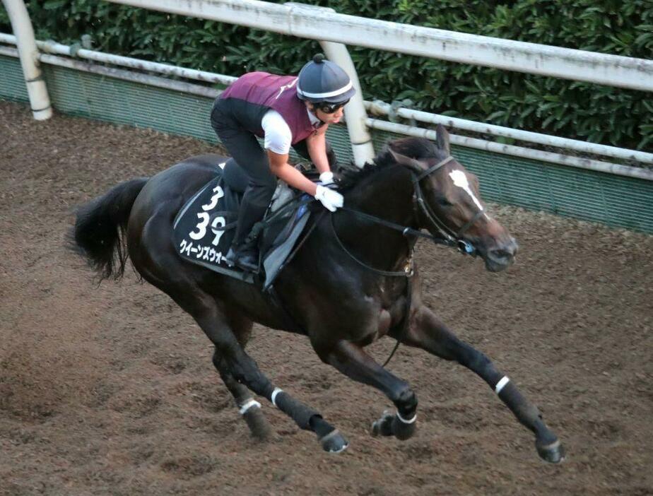 順調に乗り込まれてきたクイーンズウォーク