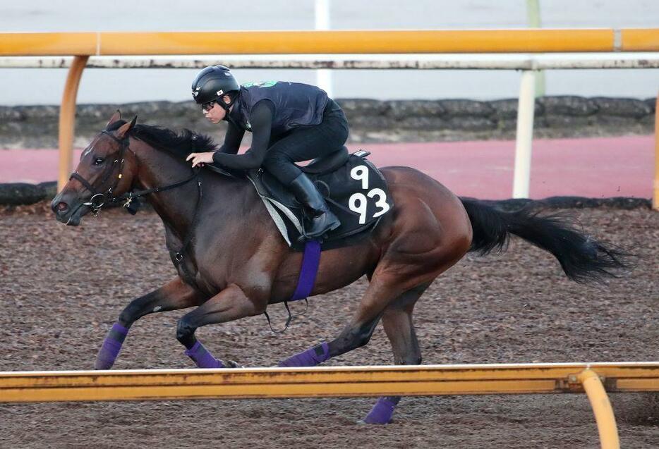 同舞台で完勝してきたフレミングフープに要注意