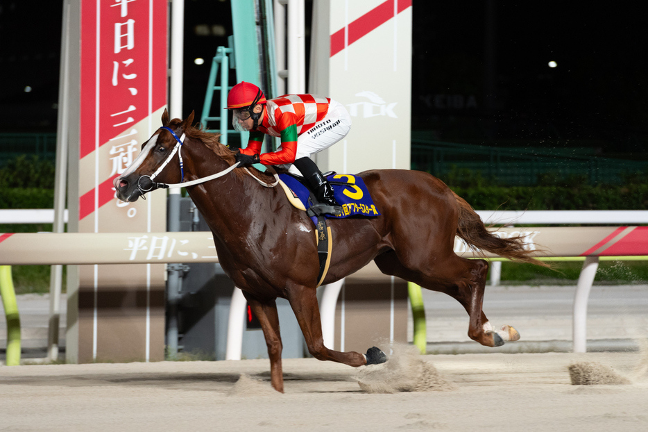 アフター5スター賞・エンテレケイアと吉原寛人騎手 (C)東京シティ競馬