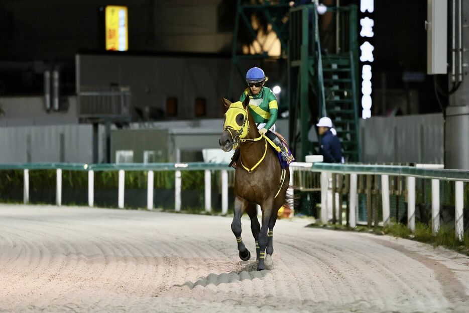 日本テレビ盃・ウシュバテソーロと川田将雅騎手 (C)Hiroki Homma