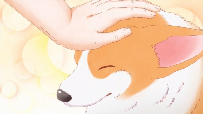 テレビアニメ『殿と犬』PVサムネイル画像