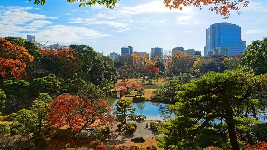 東京都文京区の六義園の紅葉（PIXTA）