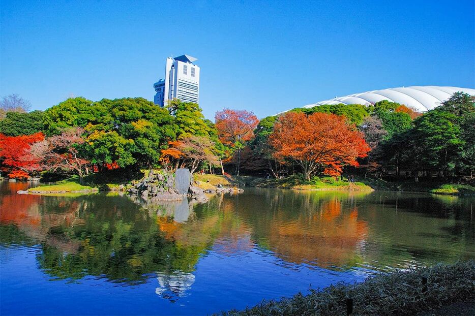 小石川後楽園　背景の白い屋根は東京ドーム　PIXTA