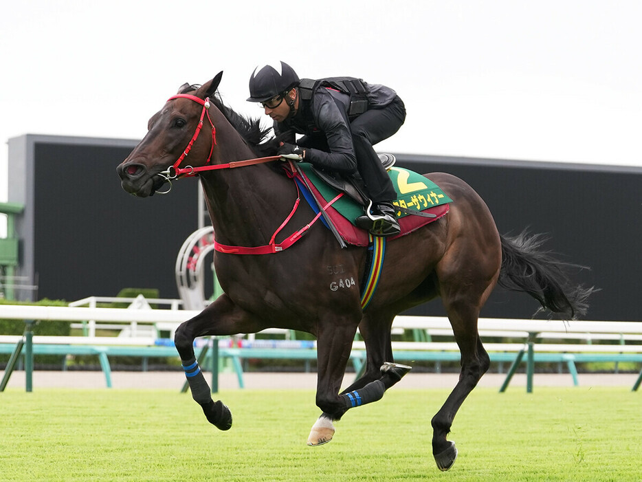 高松宮記念でも３着と好走したビクターザウィナー