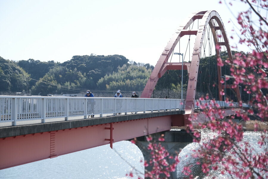 写真：Bicycle Club