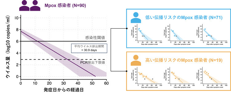 エムポックス（Mpox）感染者が排出するウイルス量の変化。ウイルス量は、コピー数で表す。細胞培養実験で定めた「感染性閾値」とPCR検査で陰性となる「検出下限値」の指標がある（名古屋大学の岩見真吾教授提供）