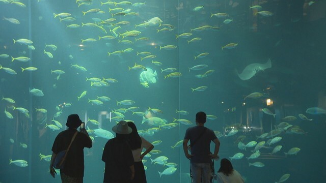 四国水族館　香川・宇多津町浜一番丁