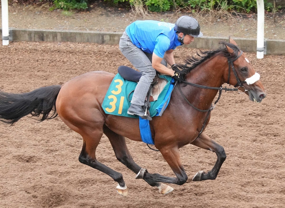 アロンズロッド