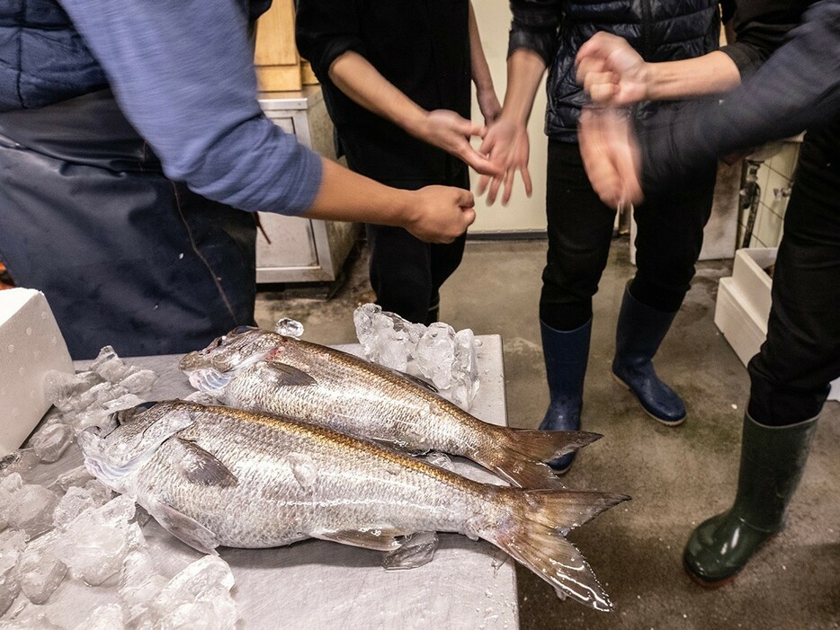 ▲ 静岡の料理人たちは、いい魚を超速ジャンケンで恨みっこなしでゲットします