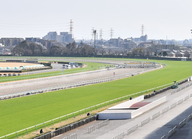 　中山競馬場