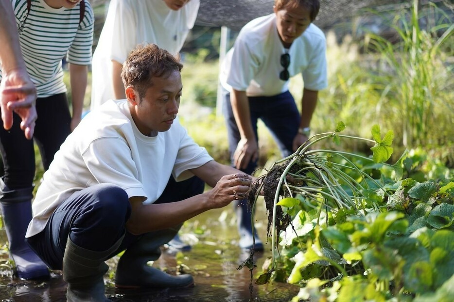 ▲ 時間があれば新しい食材を探しに生産者を訪ね歩いている北村シェフ