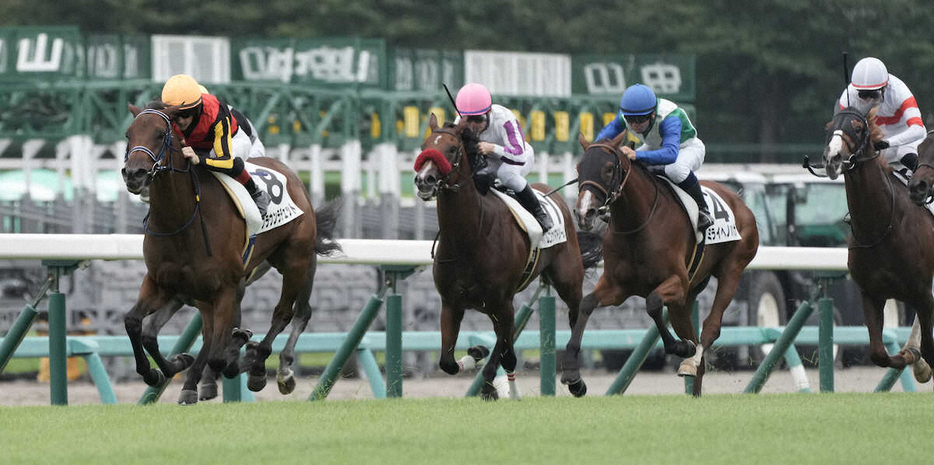 ＜中山6R新馬戦＞レースを制したブラウンラチェット（左端）（撮影・郡司　修）