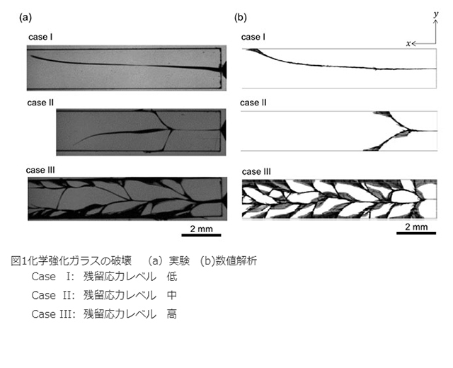 廣部さんが行った化学強化ガラスの破壊実験とそのシミュレーション結果の比較。左列の(a)が実際の実験。右列(b)がシミュレーション(図版提供:JAMSTEC)