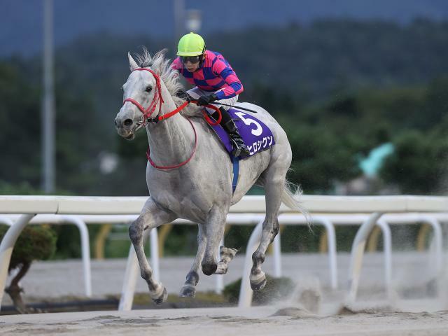 青藍賞を制したヒロシクン(提供：岩手県競馬組合)