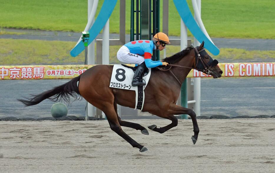 　新馬戦を快勝したプロミストジーン（撮影・石湯恒介）