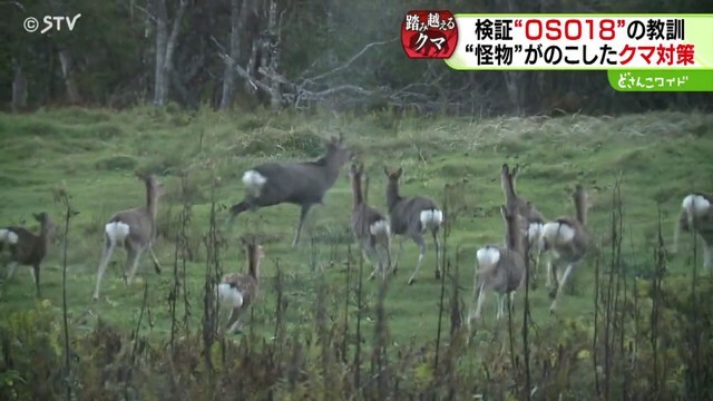 STVニュース北海道