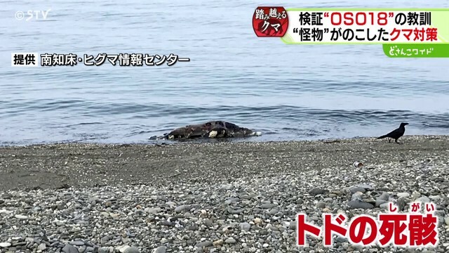 STVニュース北海道