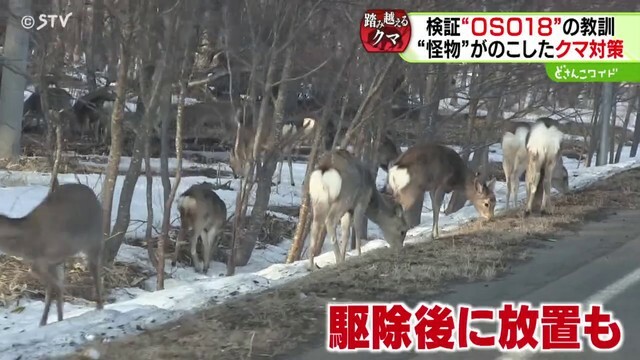 STVニュース北海道