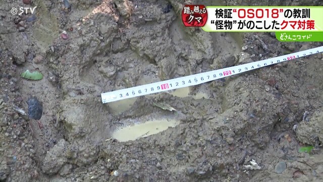 STVニュース北海道