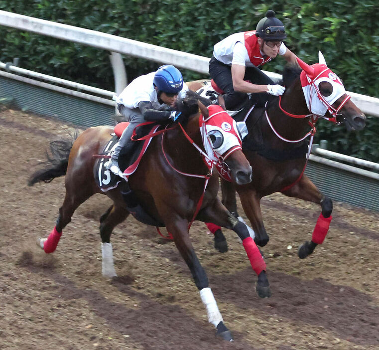 北村友一騎手を背に坂路をチェイスザドリーム（右）と併せ馬で追い切るミスタージーティー