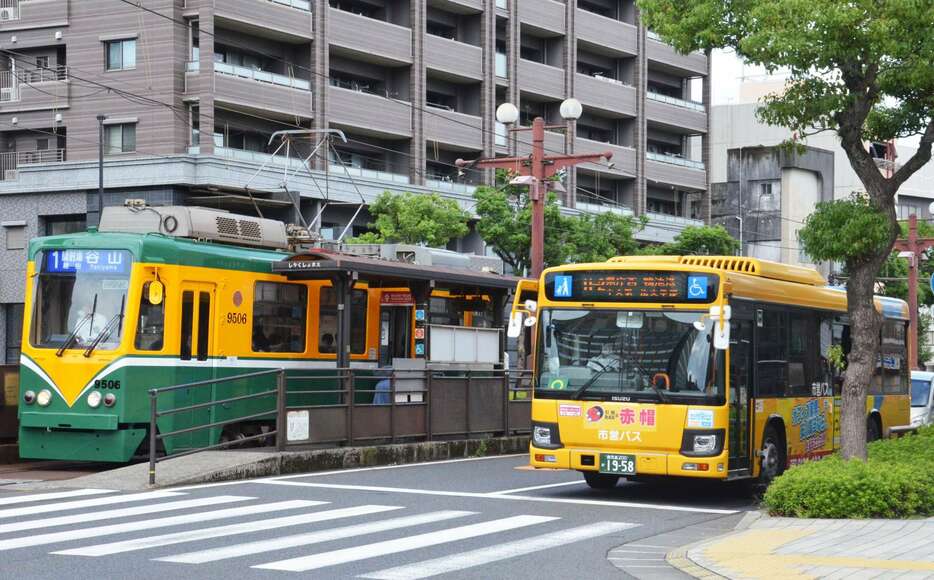 鹿児島市電（左）と市バス