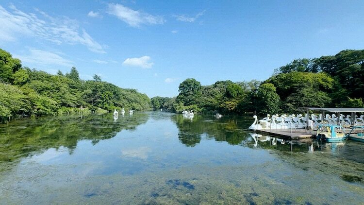 「出没！アド街ック天国」に登場する井の頭恩賜公園。(c)テレビ東京