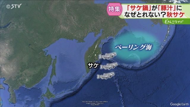 摂餌競争に負けて減少か