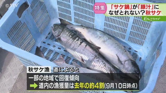 一部地域で水揚げ量回復の傾向も…