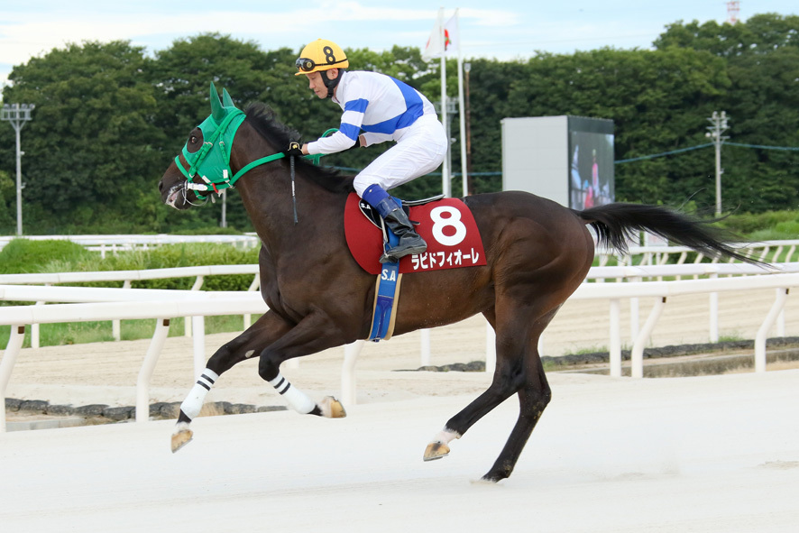 兵庫ジュベナイルC・ラピドフィオーレと赤岡修次騎手 (C)兵庫県競馬組合