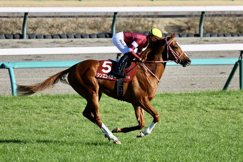 弥生賞 シンエンペラーと川田将雅騎手