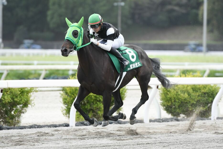 ヤングジョッキーズTR高知第1戦・インディナートと鷲頭虎太騎手 (C)NAR地方競馬全国協会