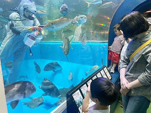 オオカミ男の着ぐるみを着たダイバーの餌やりを見つめる親子ら＝魚津水族館