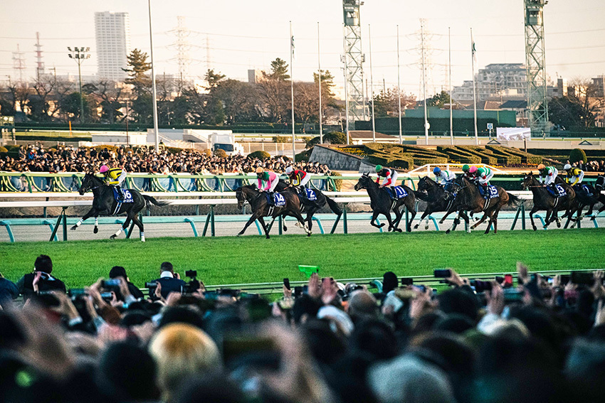 ウマ娘の影響で競馬場にも通うようになった。