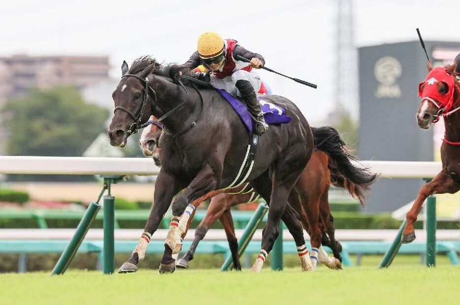 高松宮記念10着以来のレースとなったルガルが正攻法で初タイトルを獲得