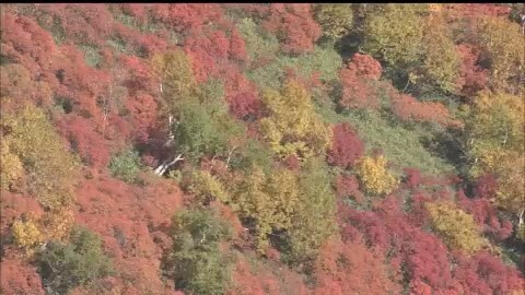 紅葉が見ごろを迎えた大雪山系黒岳