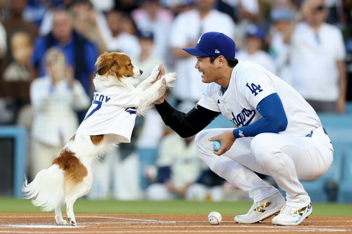 大谷のやわらかい表情も愛情を感じさせた(C)Getty Images