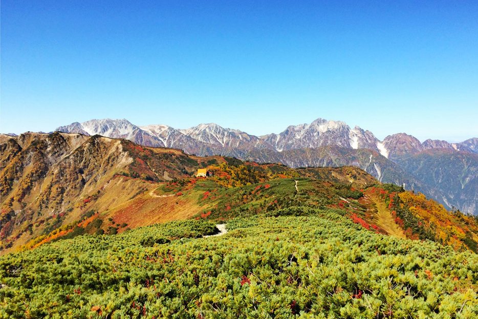 紅葉の季節の爺ヶ岳