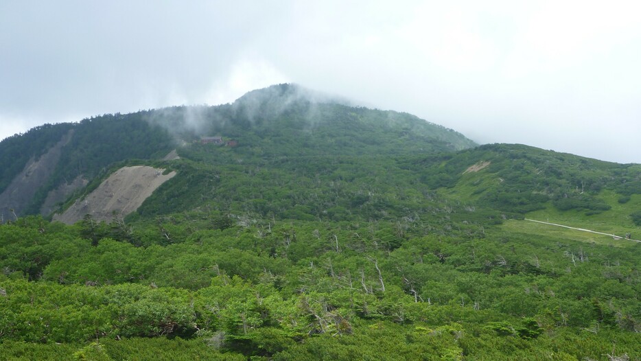 資料　南アルプス光岳　