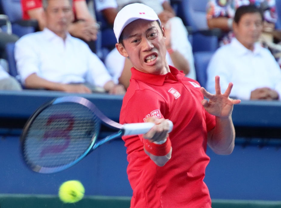 錦織圭[画像/tennis365.net]