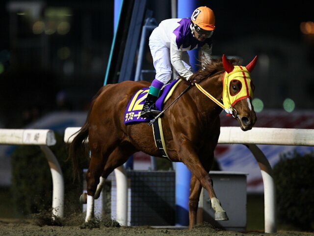 09年の全日本2歳優駿を制したラブミーチャン(撮影：高橋正和)