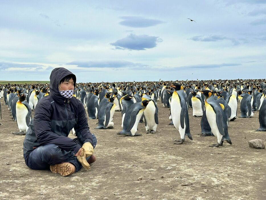 数十万羽のペンギンから14羽を探せ！ 海鳥研究者が亜南極で挑んだ激むずミッション