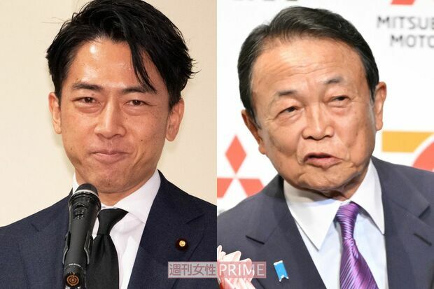 小泉進次郎氏、麻生太郎氏