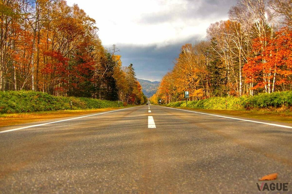 2024年10月1日から11月30日までの期間限定で北海道の高速道路がオトクに4日間乗り放題となる「ドラ割 北海道観光ETCはじめてパス」が登場