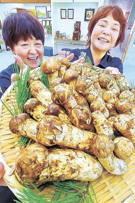 松本市内の山林で採れたマツタケ