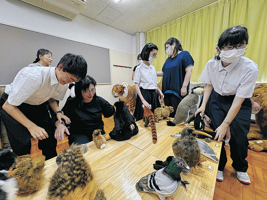 動物の模型に触れる児童生徒＝県立盲学校