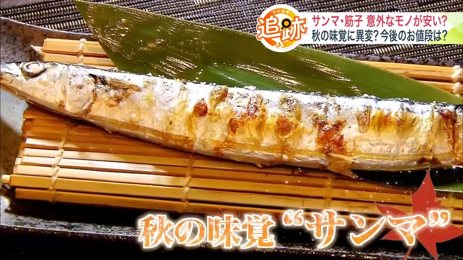 秋の味覚サンマ　手軽に味わえそう