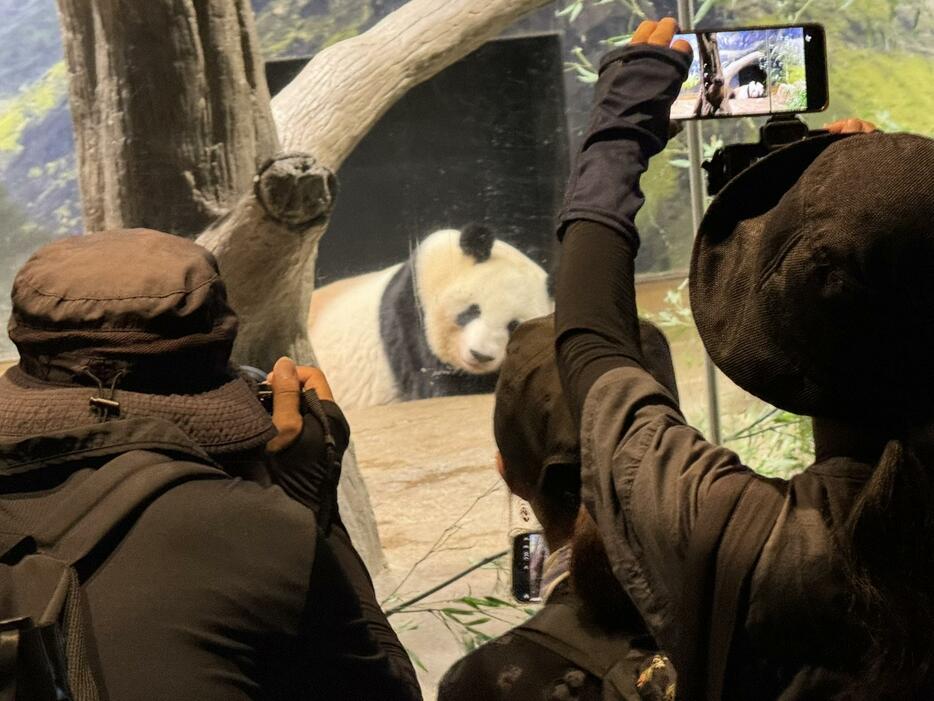 返還発表翌日には大勢のファンが来園（8月31日撮影）