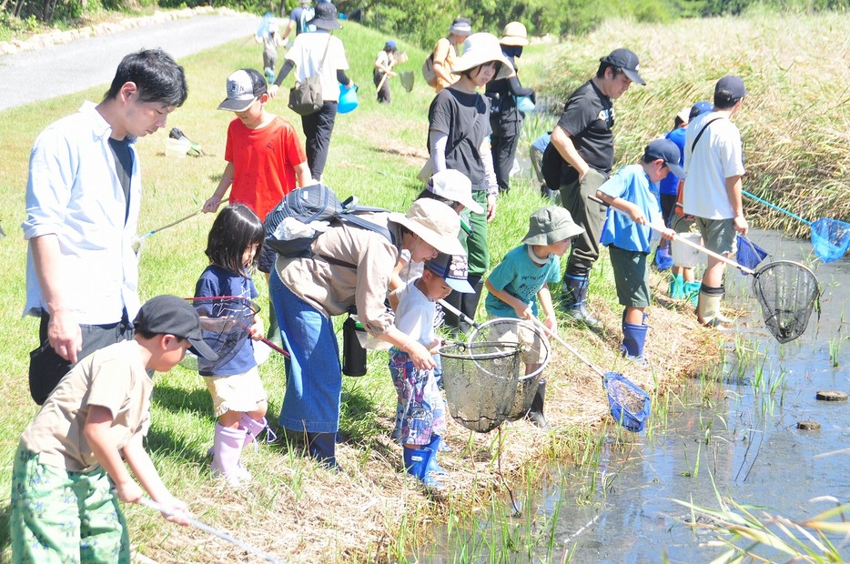 水中に網を入れて生物を捕獲する親子連れ（新光産業きらら浜自然観察公園で）